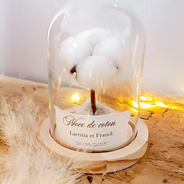 Cloche en verre – Cadeau 1 an de mariage, Noces de coton