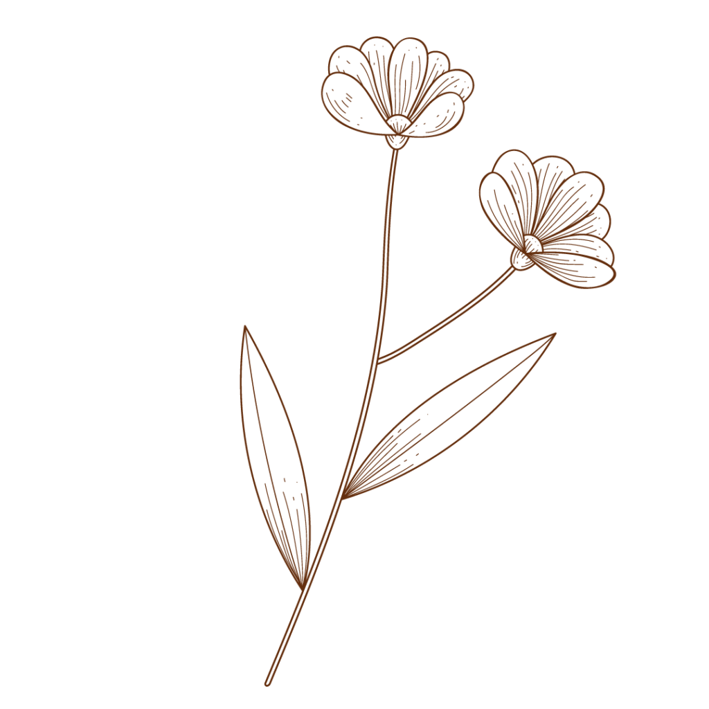 Fleurs séchées car écologique lors de la création des articles du site Les rêves de Louise