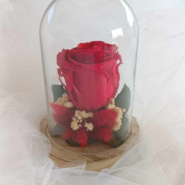 Cloche sous verre, mariage, St Valentin, Rose éternelle, Cadeau St valentin